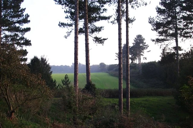 Rendlesham Forest 추정 착륙지