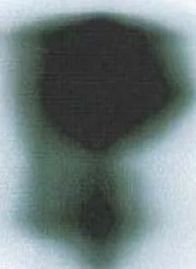 doe-uap-d001_pantex_image__p002_i2.webp